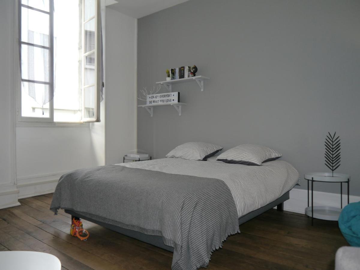 Appartement Hypercentre Tarbes - 2 Grandes Chambres エクステリア 写真